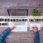 幽门螺杆菌感染是怎么得的（幽门螺杆菌感染怎么造成的）